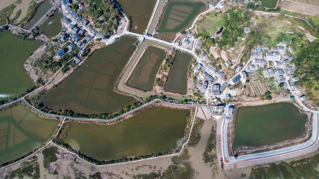 微改造·精提升 乐清南塘以海为题,全力提升海岛旅游业发展_小横