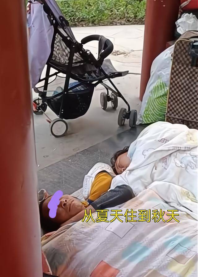 浙江杭州：夫妻风餐露宿，携十月幼儿流浪公园，从夏天住到秋天