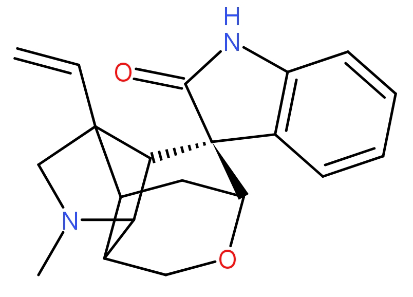 toxicaria),又称箭毒木或毒箭木