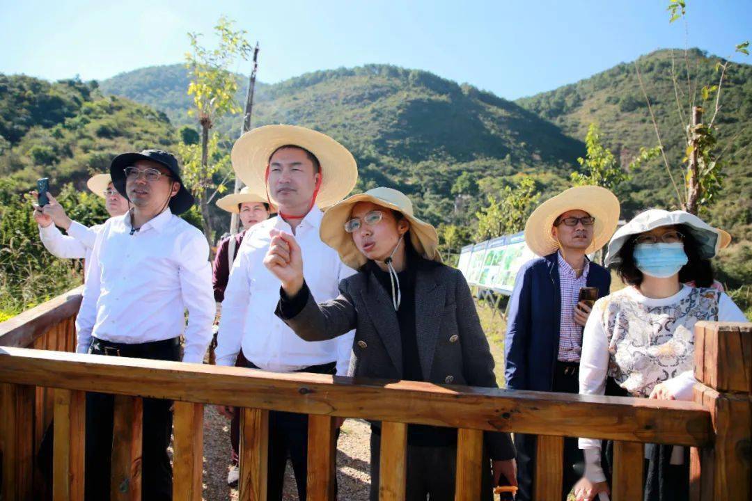 上海市奉贤区金海街道党政代表团到我县考察调研_弥渡_发展_协作