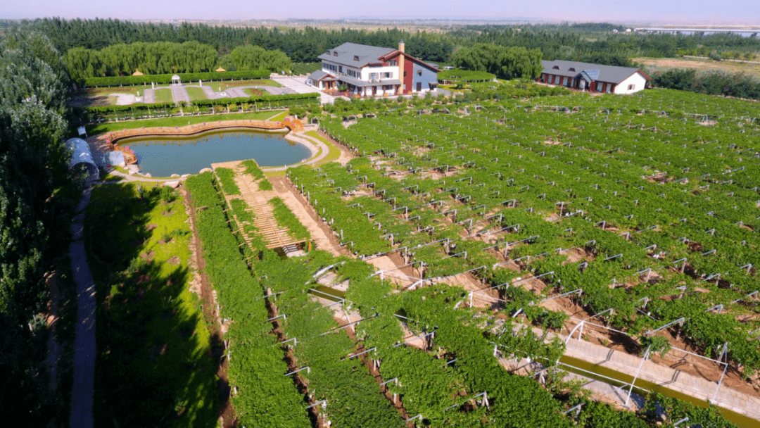 (鄂爾多斯市達拉特旗樹林召鎮林原村)(赤峰市松山區老府鎮大烏良蘇村)