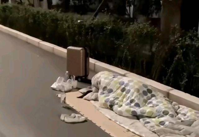 旁边放着行李箱和洗漱用品,身边还有空酒瓶_网友_露宿街头_人生