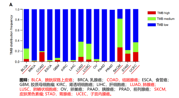 一文汇总 | 肿瘤突变负荷TMB检测常见问题