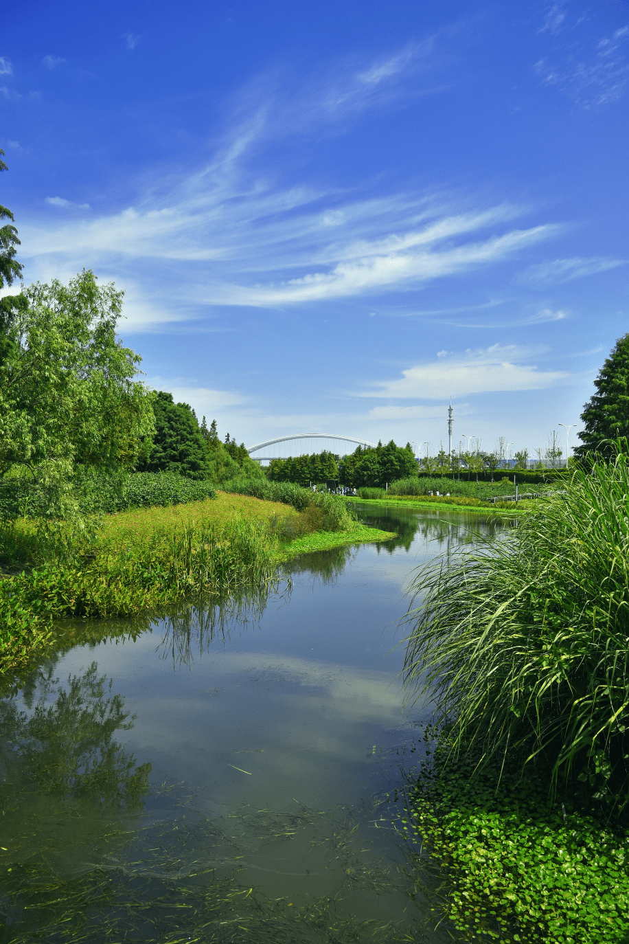 白蓮湖廣場增添深厚的文化氣息,區域內自然形成的岬,嶼,島,灣,洲星羅