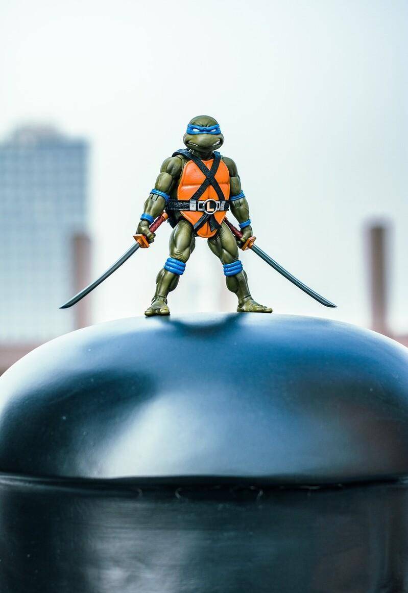 而神龟在常规赛也是把首发位置要了回来,经过一场替补的洗礼,神龟好像