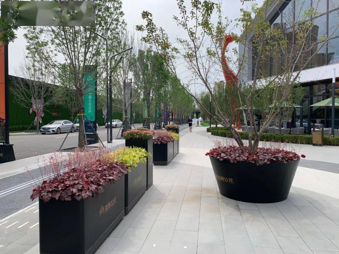 三, 乔灌木类花箱①上层以小乔木或者灌木为骨架,下层搭配绿篱或者