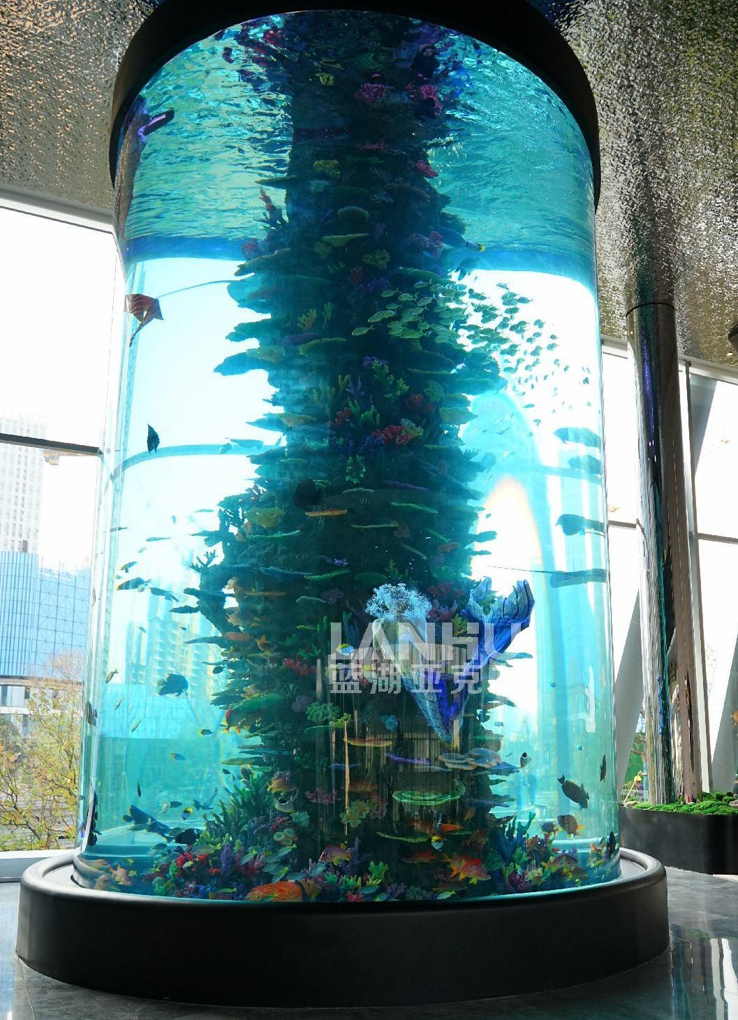 鱼缸造景拼音_海水鱼缸造景_鱼缸造景