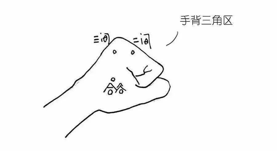 5手背三角区:能治疗手指麻痛位置在手背内侧食指和拇指交界的三角区