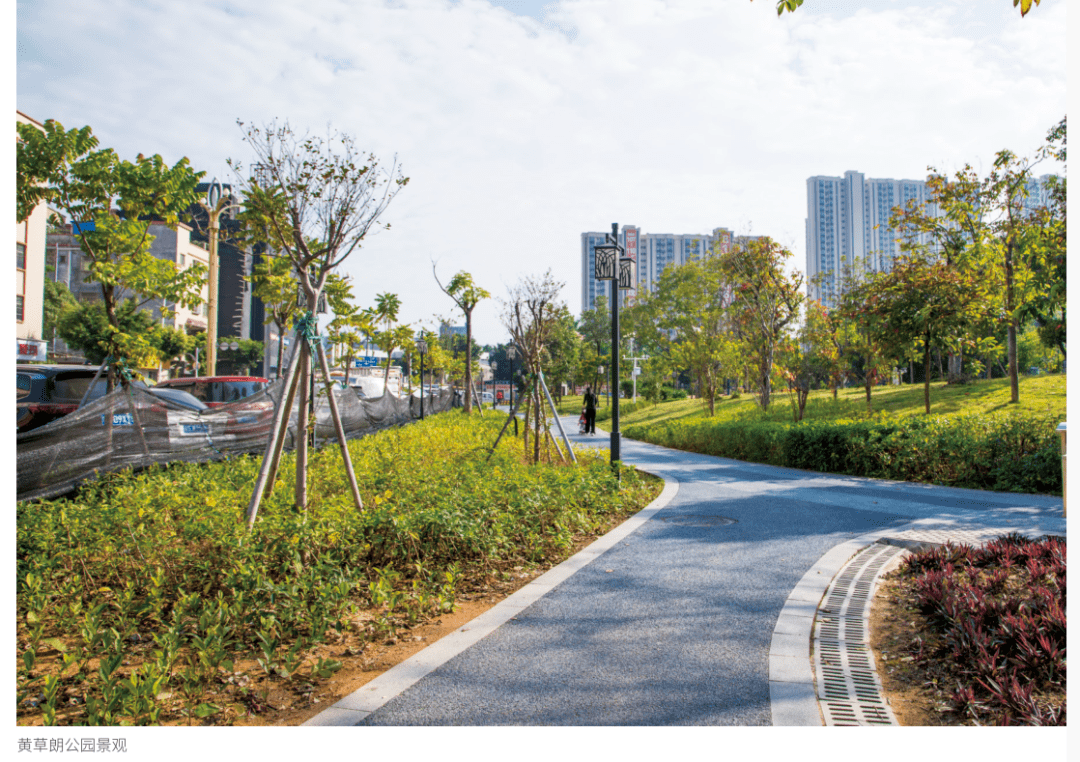 品味环湖之美 | 大朗黄草朗社区:打造"生态 人文"的乡村新面貌_发展