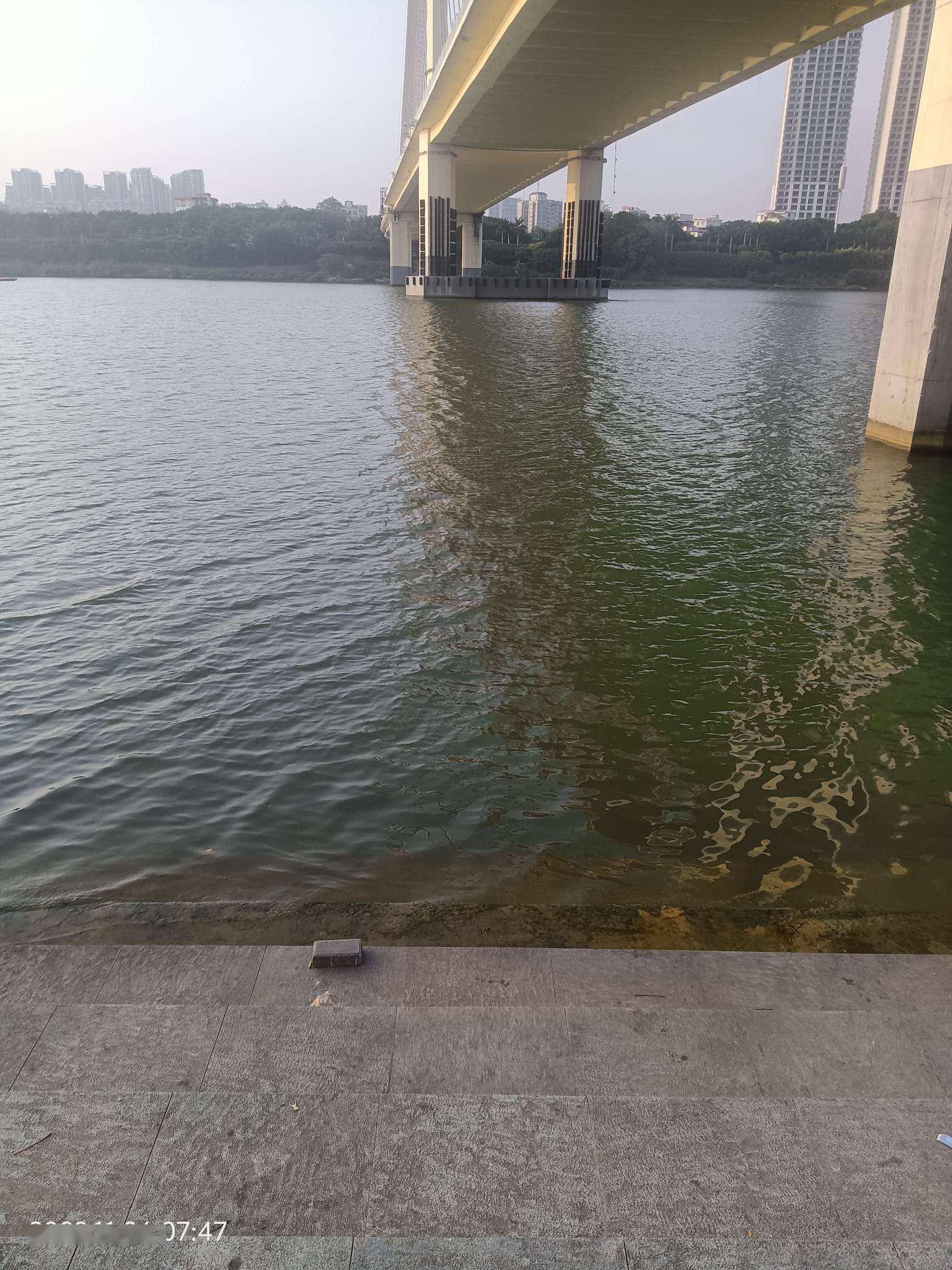 早晨邕江河边空气清新弱感清凉霞光照在碧绿的邕江河面上微风吹过