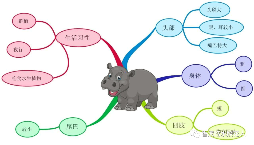 67 思维导图画作文