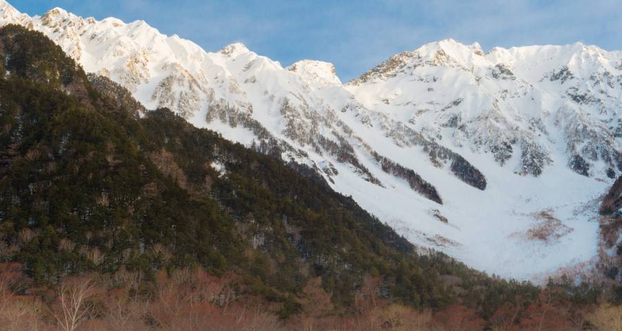 家电企业的害怕不敢与有心无力-家电圈官网