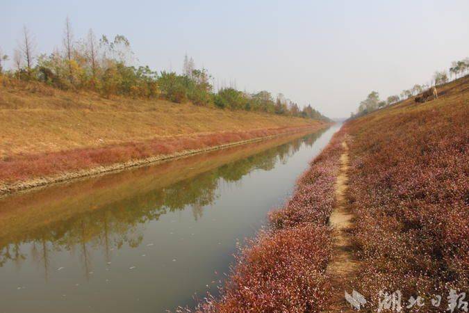 云梦涢水国家湿地公园图片