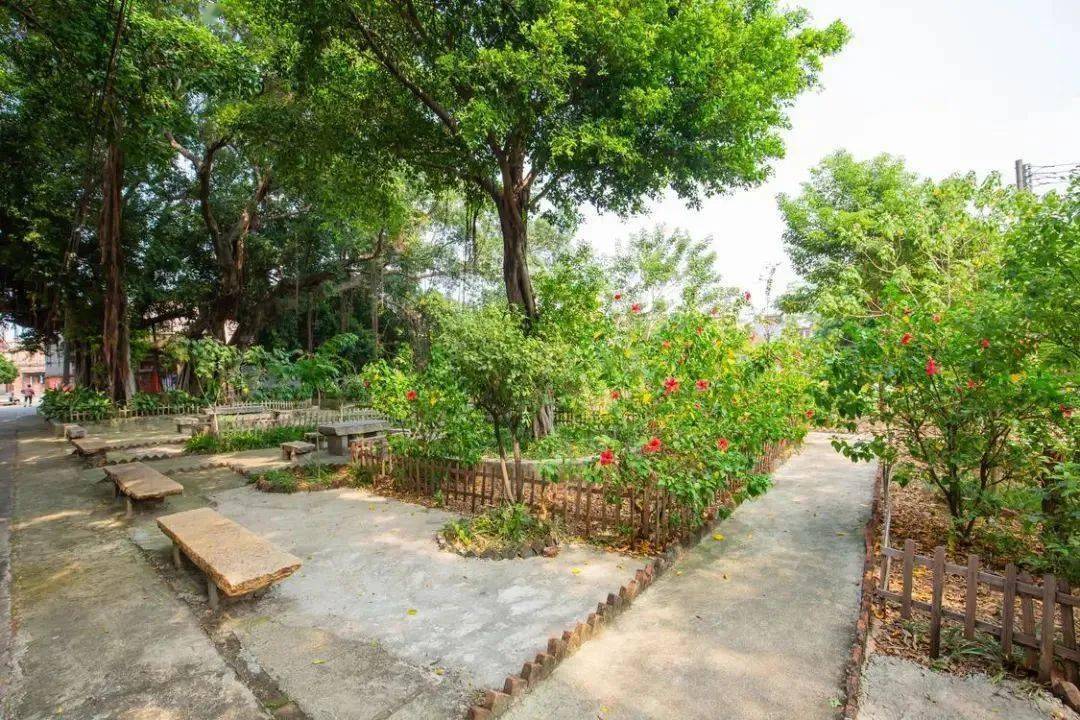 佛山乐平镇:从"村容整洁"迈向"生态宜居",构成美丽宜居新农村画卷!