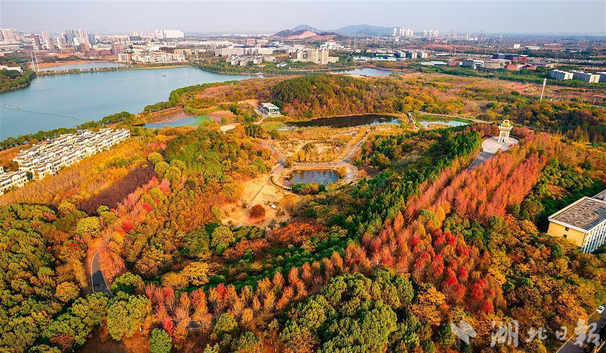 藏龙岛湿地公园多大图片