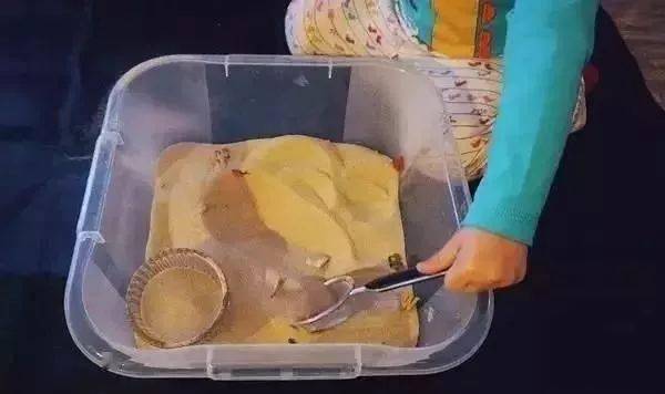 幼儿园颜色配对游戏_幼儿园几何皮筋教学_幼儿园教具制作方法