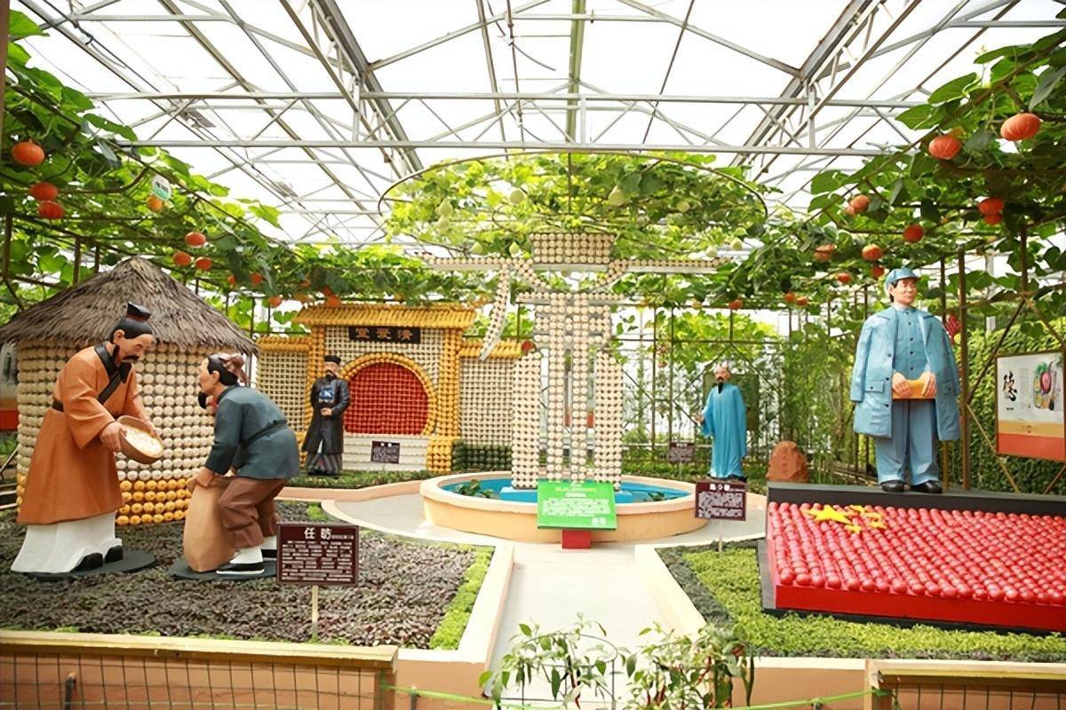 科技加持,蔬菜成景,寿光这个示范园值得一游_博览会_旅游_农业