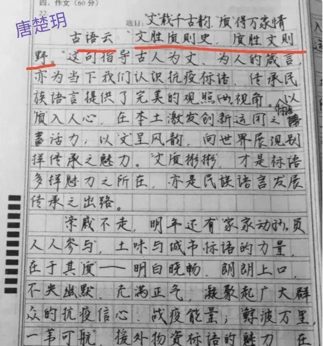 沃兹基是谁 为何那么多文章引用他 名言 作文 句子