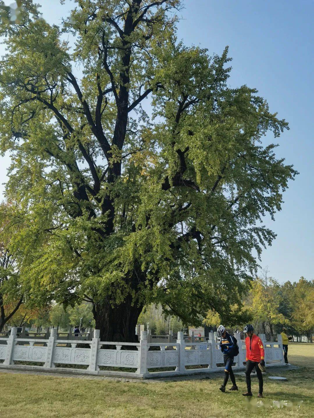 重游汤泉古惠济寺记