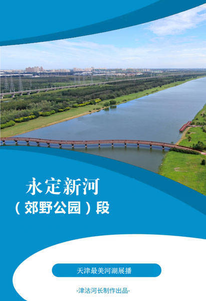【践行党的二十大精神】"最美河湖"篇系列展播之二:永定新河(郊野公园
