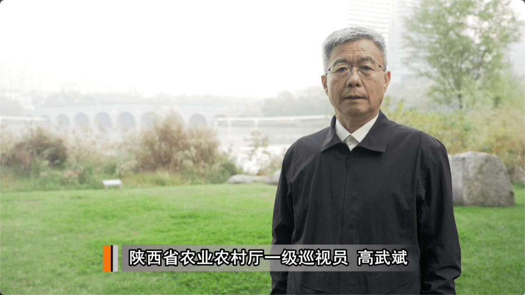 现任眉县县长图片