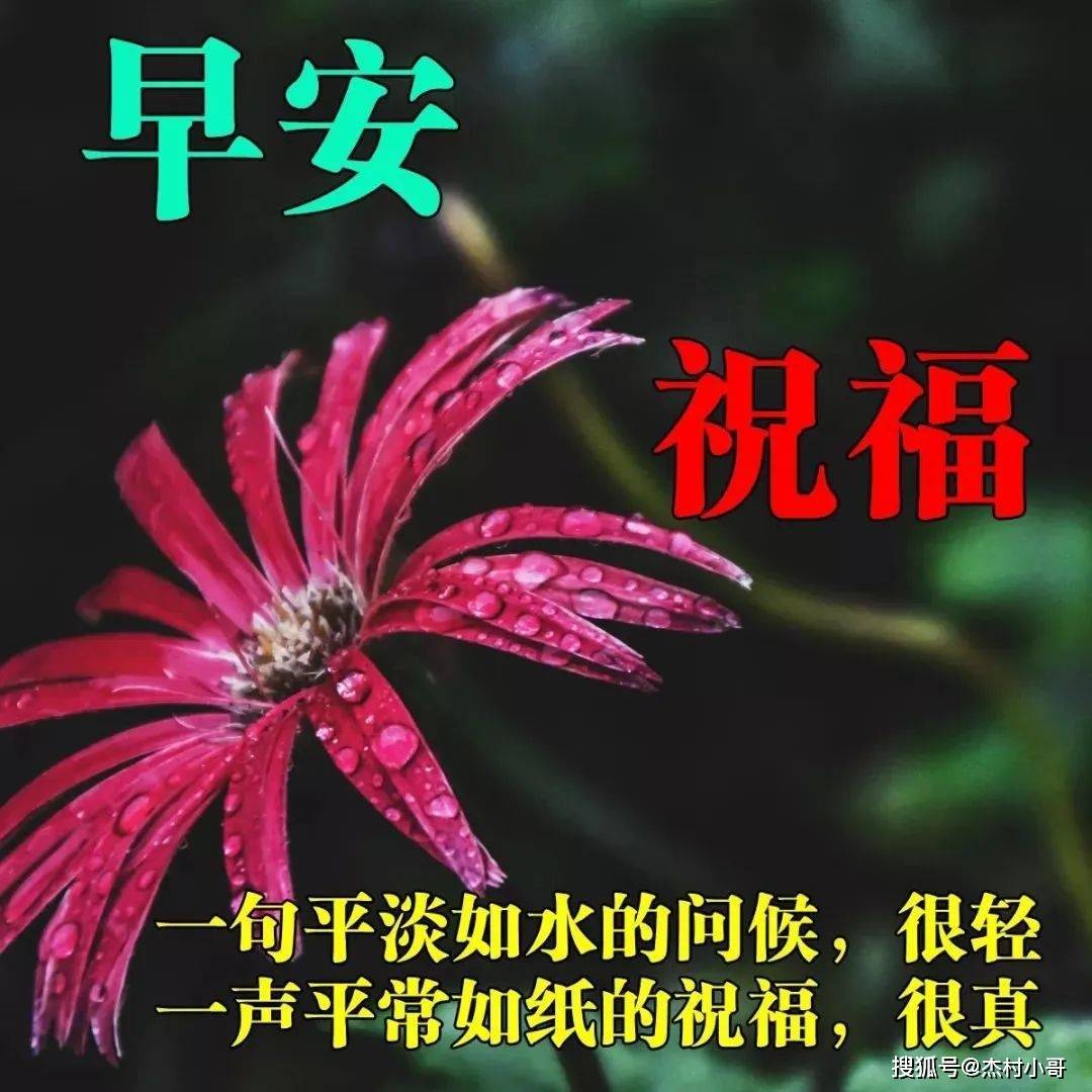 新的一天漂亮早晨问候动态图片暖心窝的早上好祝福动画表情 人生 世界 一家人