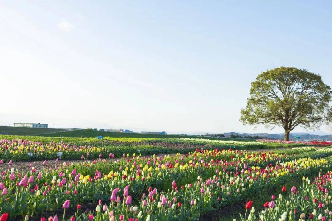 干衣机市场今年放量上涨，用户才是家电企业最大红利-家电圈官网