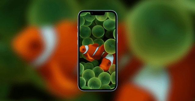 flymeauto重磅功能预热,布局全场景生态?_魅族_iphone_用户