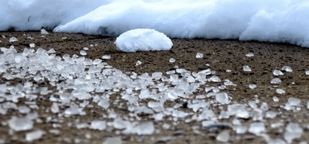 卑诗道路洒盐防积雪 却没想到杀死了这种生物！_影响_鲑鱼_盐分