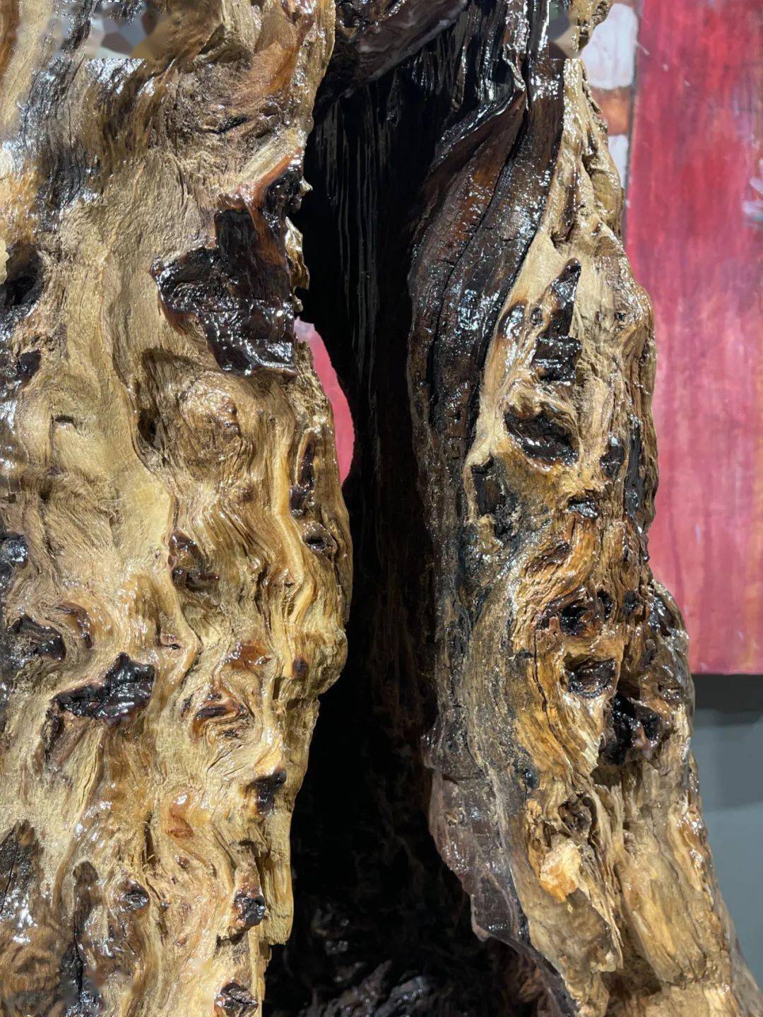 用之美—南山有奇木 ▎千姿百态的树瘤瘿木_木桶_铁环_案头