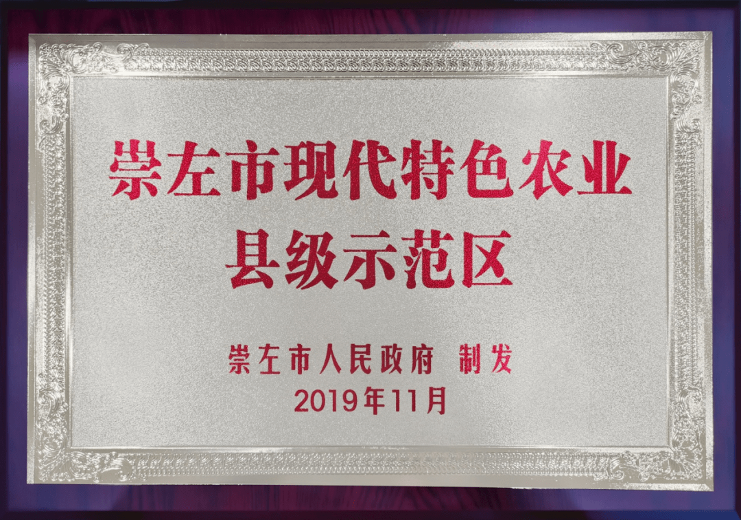 龙州甘牛“一县一园”现代农业财产园 争做崇左地域带农联农养牛标杆！