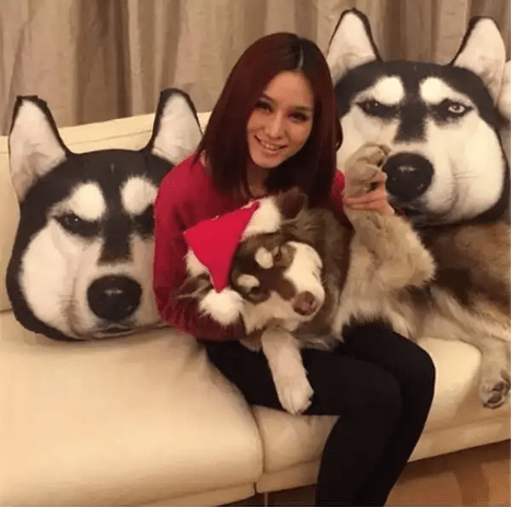 王思聪和孙一宁的前前后后，以及他征服的15位女网红