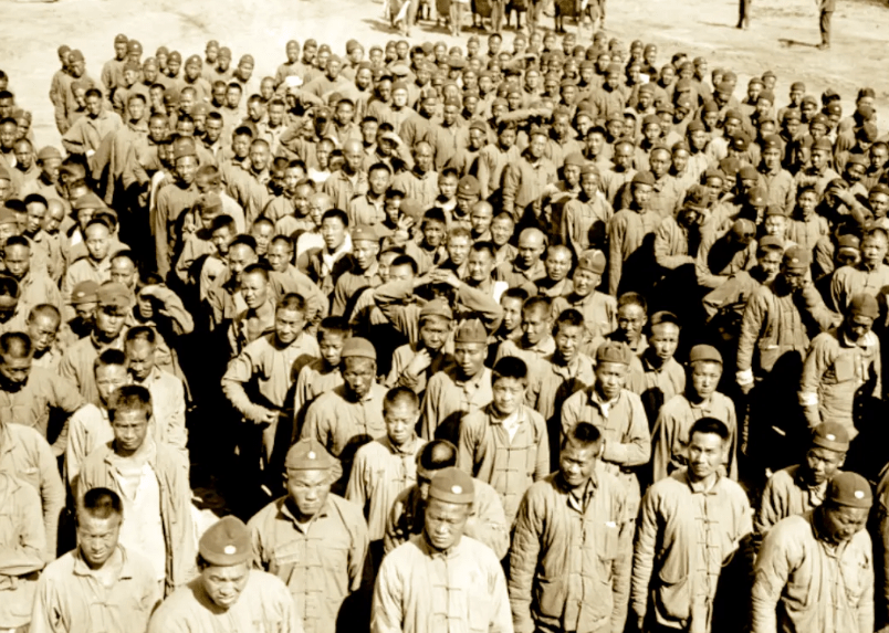 一战中被遗忘的14万华工_战场_法国_和英国