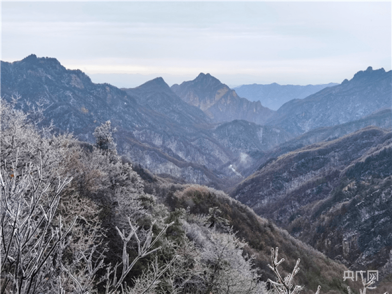 河南南阳老界岭迎来入冬后的第一场雪