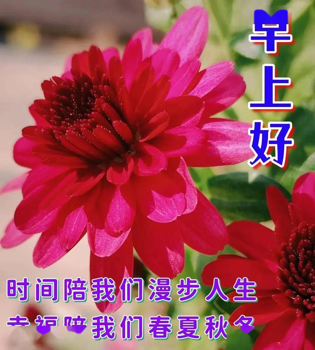 十一月早上好問候祝福語,送給大家_生活_開心_短信