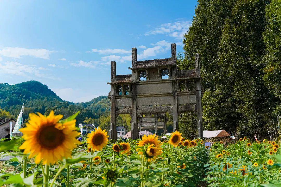 硬核推荐（黄山民俗文化旅游节）黄山风景区活动，(图6)