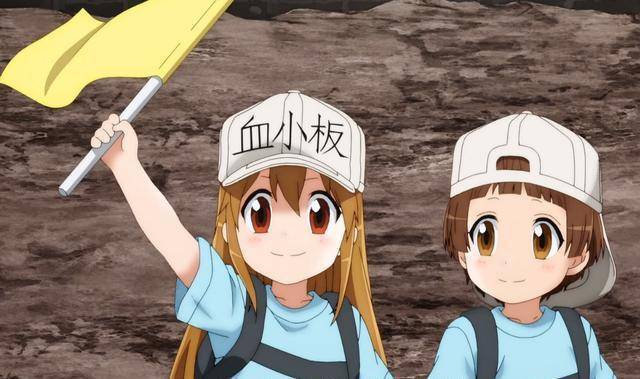 细胞_爱动漫_工作