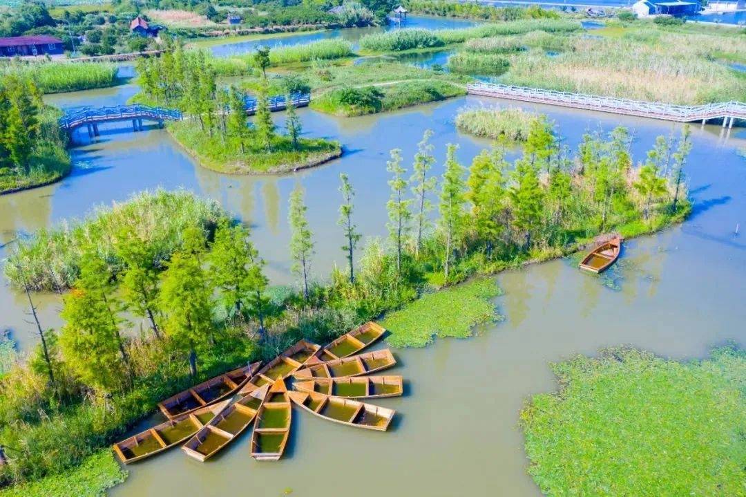 从默默无闻到网红打卡点!来看金山这个独特村庄的"变身记"→_水库_村