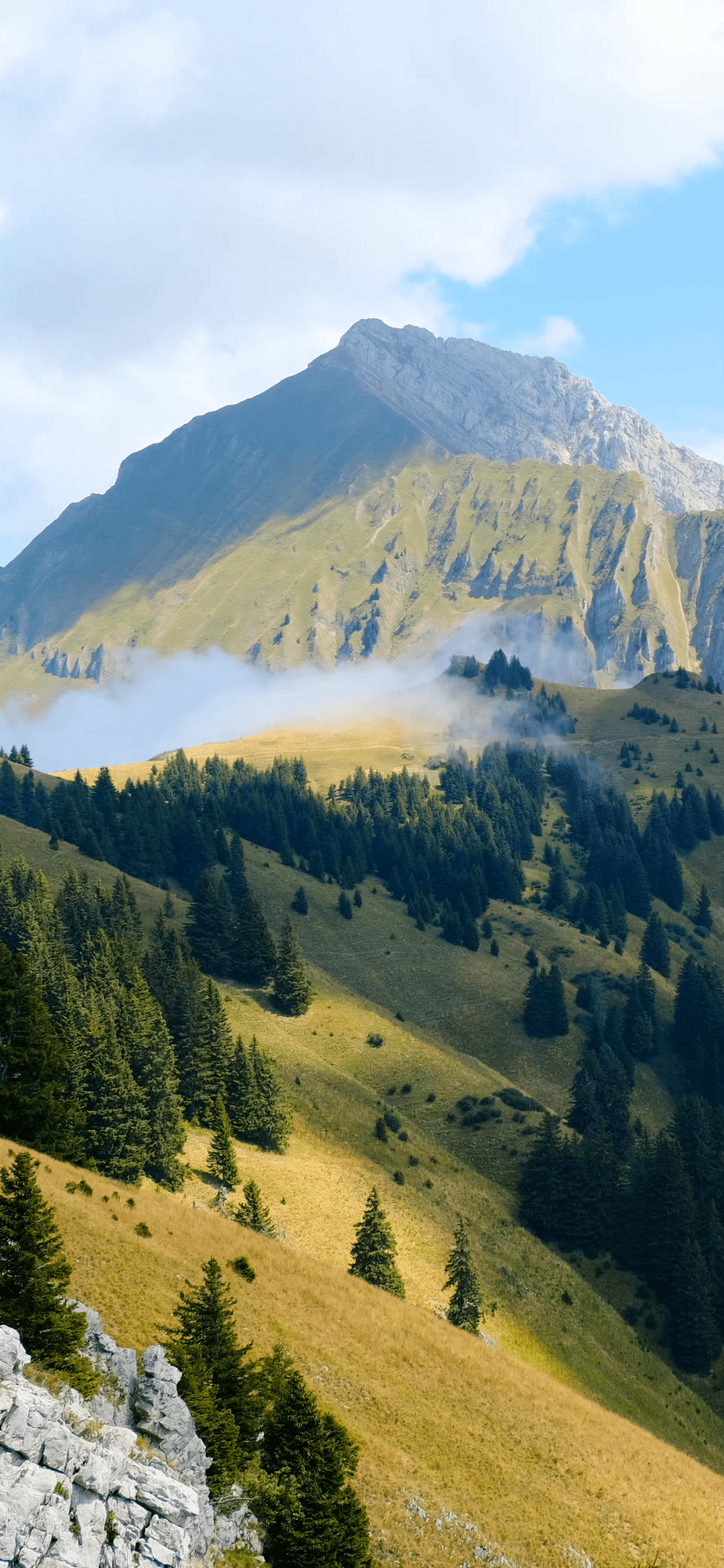 ios16景深壁纸,很奈斯!_效果_内容_用途