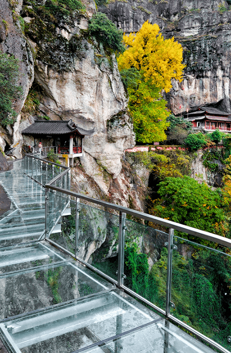 杏会大慈岩|银杏节将至,金丽衢赣免门票政策来啦!_活动_直播_建德