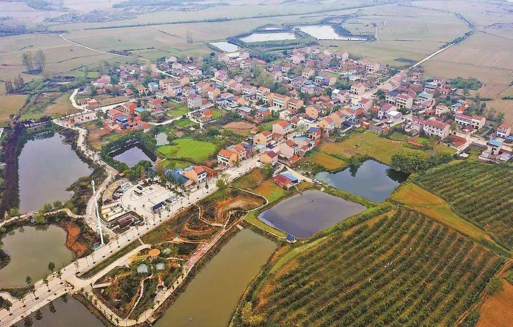 老河口市竹林桥镇大堰村:协商达成共识 建设和美乡村_韩建生_村民