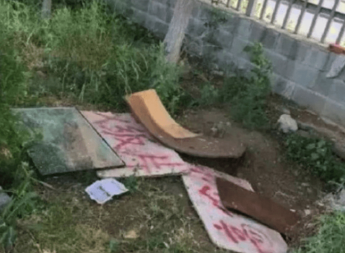 女孩好心给流浪狗搭建遮雨棚,然而第二天来一看,却气的当场大骂 女孩好心给流浪狗搭建遮雨棚,然而第二天来一看,却气的当场大骂