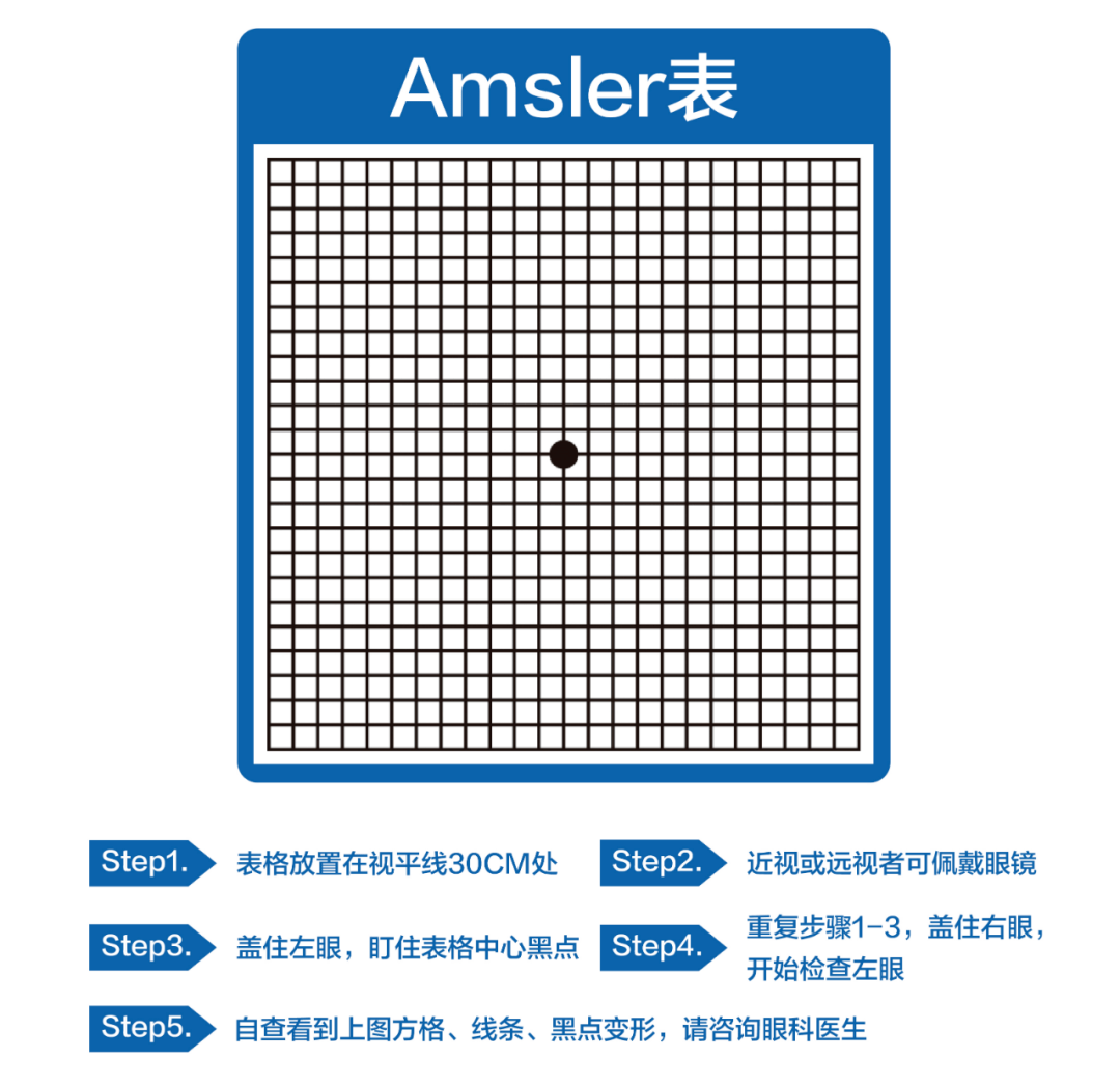 黄斑区测试图图片