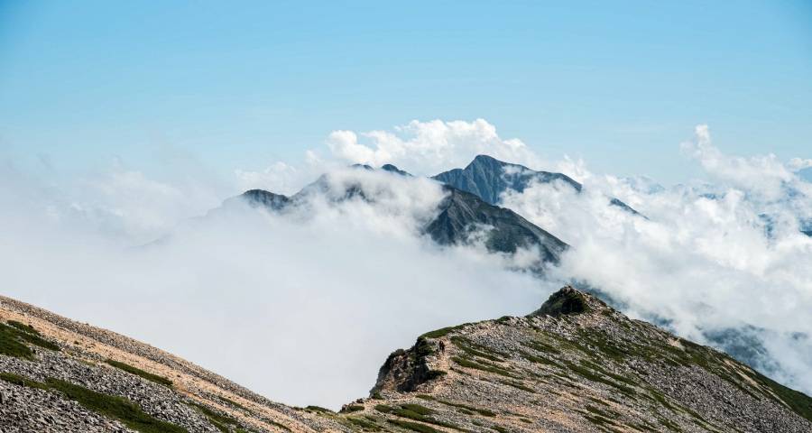不确定中家电产业出现三个确定性-家电圈官网