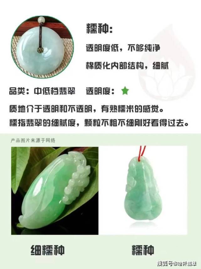 知道「豆糯冰玻」就算行家？殊不知老种翡翠和嫩种翡翠才是关键_搜狐网