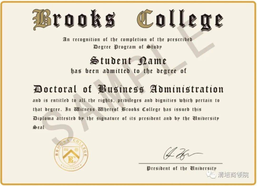 美国布鲁克斯大学工商管理博士学位班_课程_教育_案例