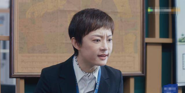 01《安家》中的房似锦,是很多人的一面镜子孙莉主演的电视剧《安肌贩