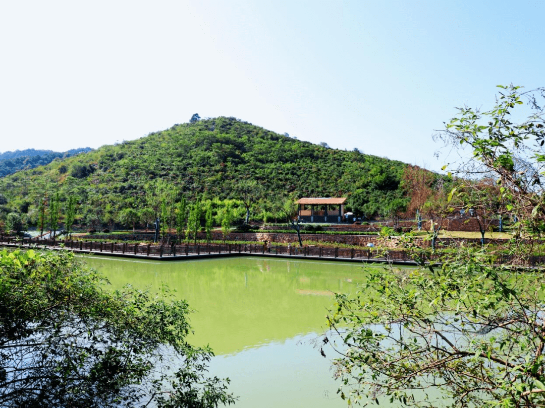 庐江网红景点图片