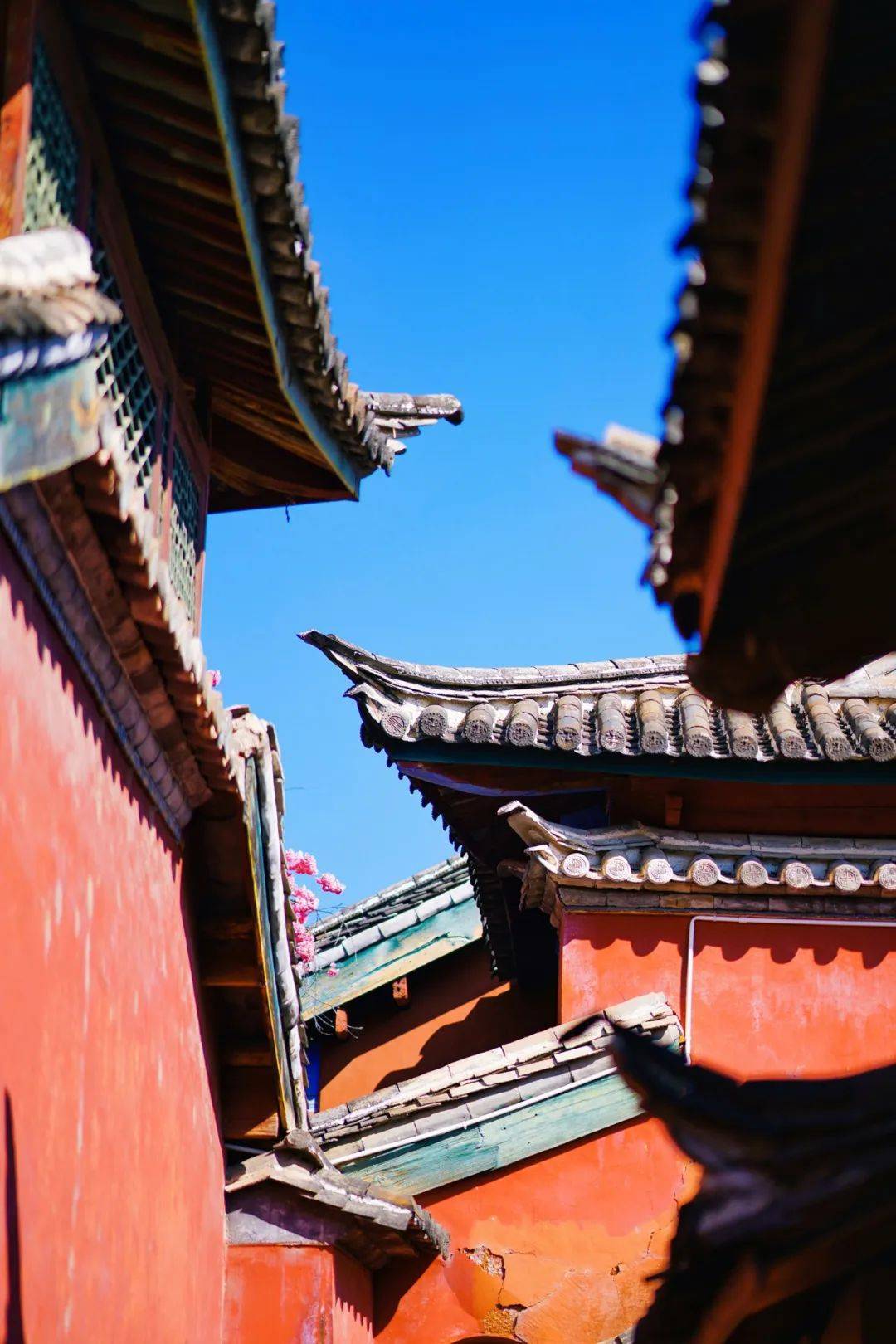 云南唯一的铜瓦殿普济寺,每到春天漫天西府海棠飘落_丽江_大殿_寺院