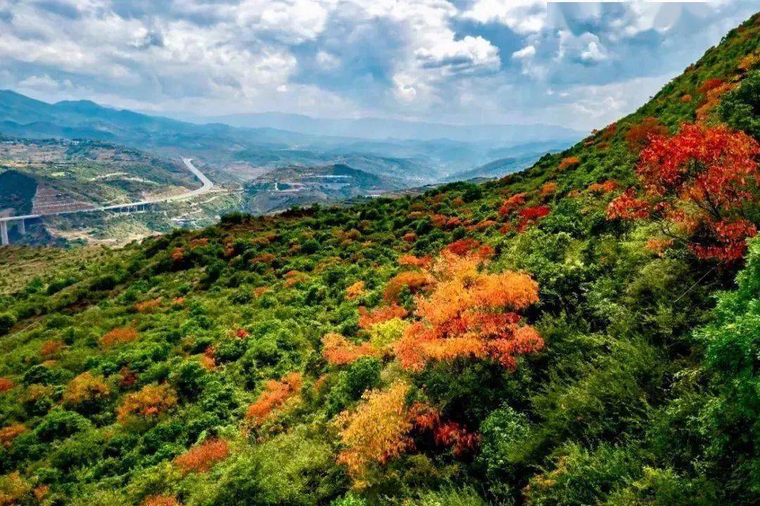 来易门,赏马头山最后的秋色_群山_绝壁_红叶